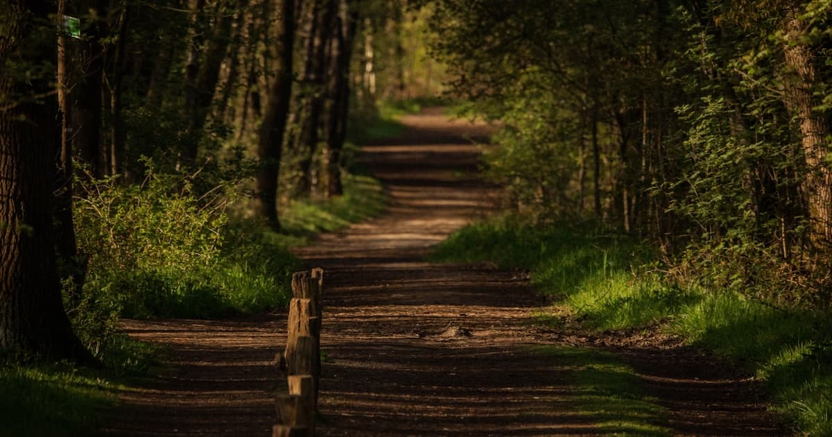 Die 5 besten Wanderwege rund um Bad Lippspringe