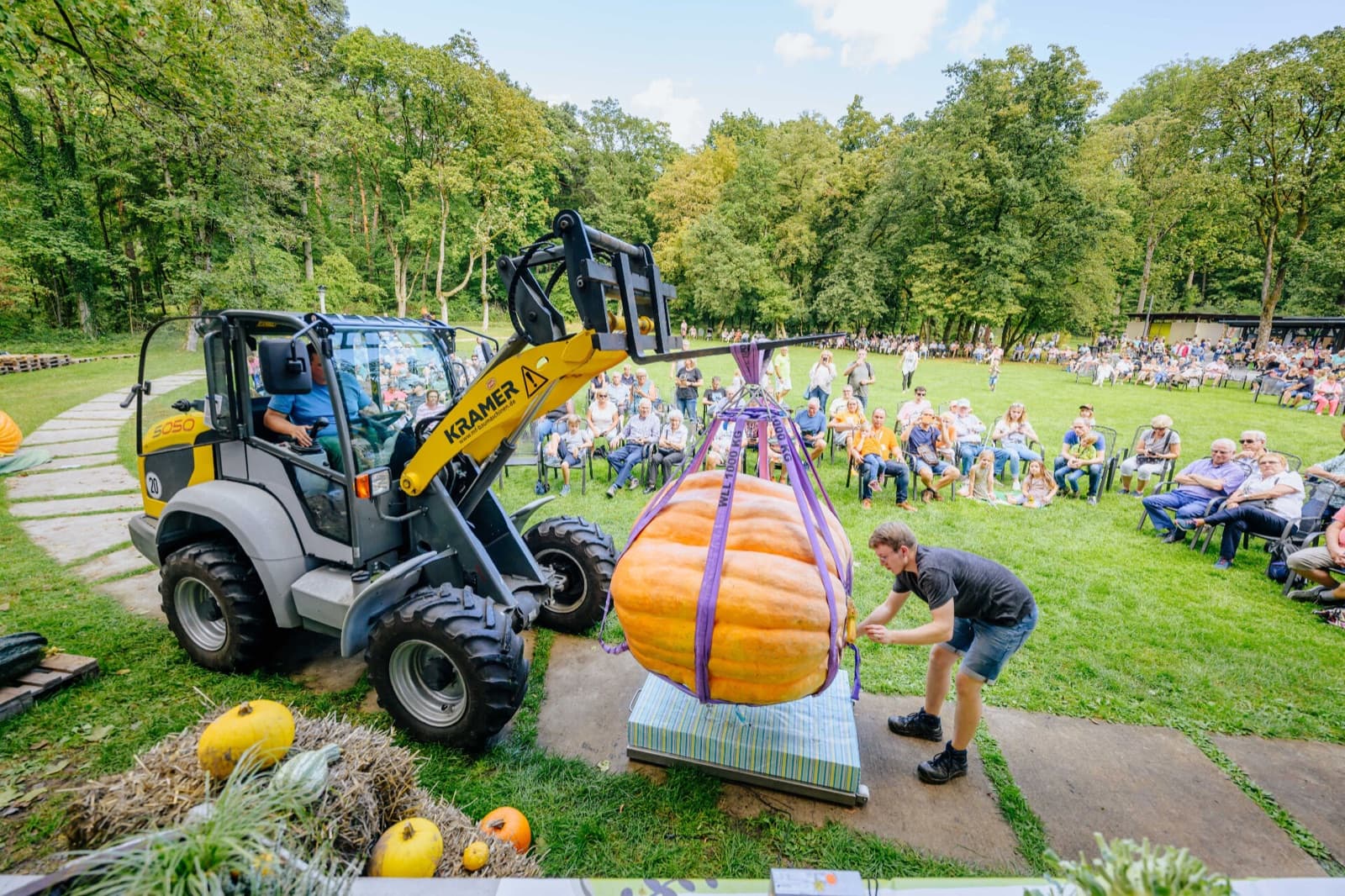 Kürbisfest – Riesen-Kürbis-Wettbewerb